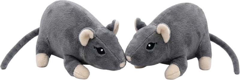 Pair of grey plague rat companions